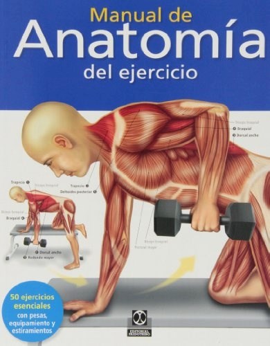 Papel Manual De Anatomia Del Ejercicio