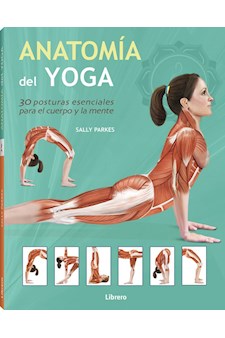 Papel Anatomía Del Yoga