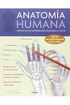 Papel Anatomia Humana
