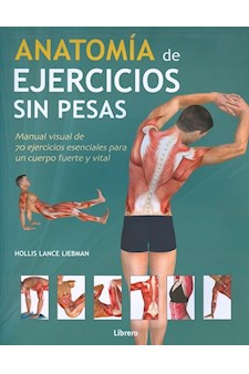Papel Anatomia De Ejercicios Sin Pesas