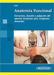 Papel Anatomía Funcional