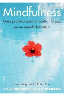 Papel Mindfulness. Guía Práctica Para Encontrar La Paz