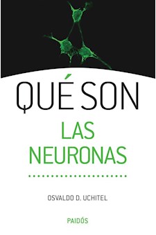 Papel Qué Son Las Neuronas