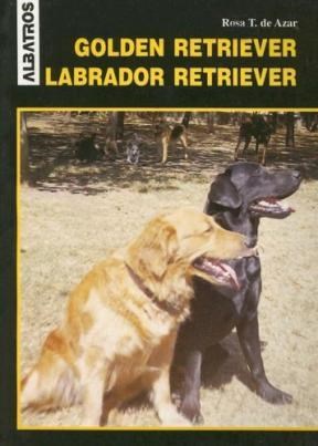 Papel Golden Retriever - Labrador Retriever