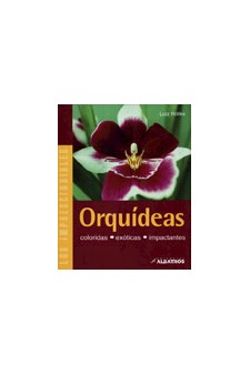 Papel Orquídeas