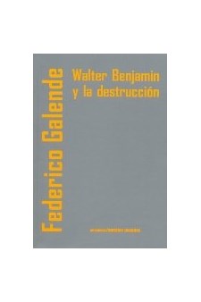 Papel Walter Benjamin Y La Destruccion