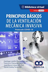 Papel Principios Básicos De La Ventilación Mecánica Invasiva