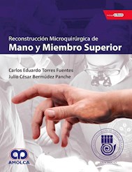 Papel Reconstrucción Microquirúrgica De Mano Y Miembro Superior