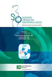 Papel Soporte Crítico En Obstetricia (Sco)