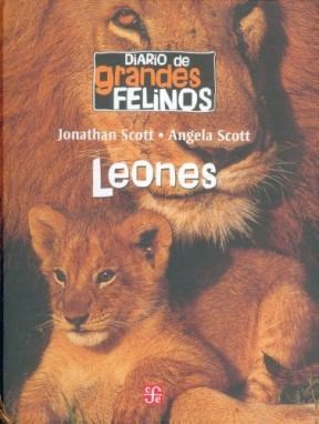 Papel Diario De Grandes Felinos: Leones