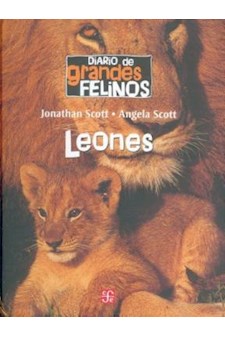 Papel Diario De Grandes Felinos: Leones