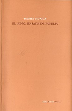 Papel Niño, El. Ensayo De Familia