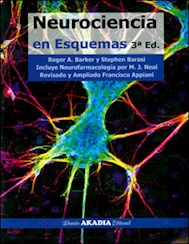 Papel Neurociencia En Esquemas