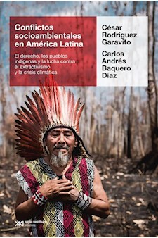 Papel Conflictos Socioambientales En América Latina