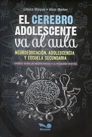 Papel El Cerebro Adolescente Va Al Aula
