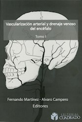 Papel Vascularización Arterial Y Drenaje Venoso Del Encéfalo