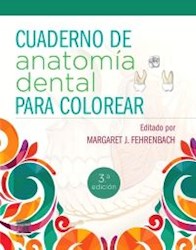 Papel Cuaderno De Anatomía Dental Para Colorear Ed.3