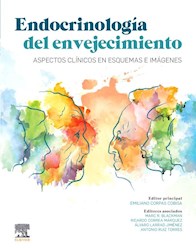 Papel Endocrinología Del Envejecimiento