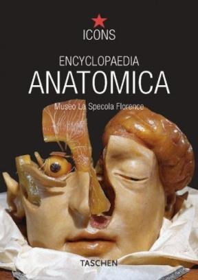 Papel Encyclopaedia Anatomica
