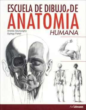 Papel Escuela De Dibujo De Anatomía Humana