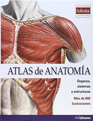 Papel Atlas De Anatomía