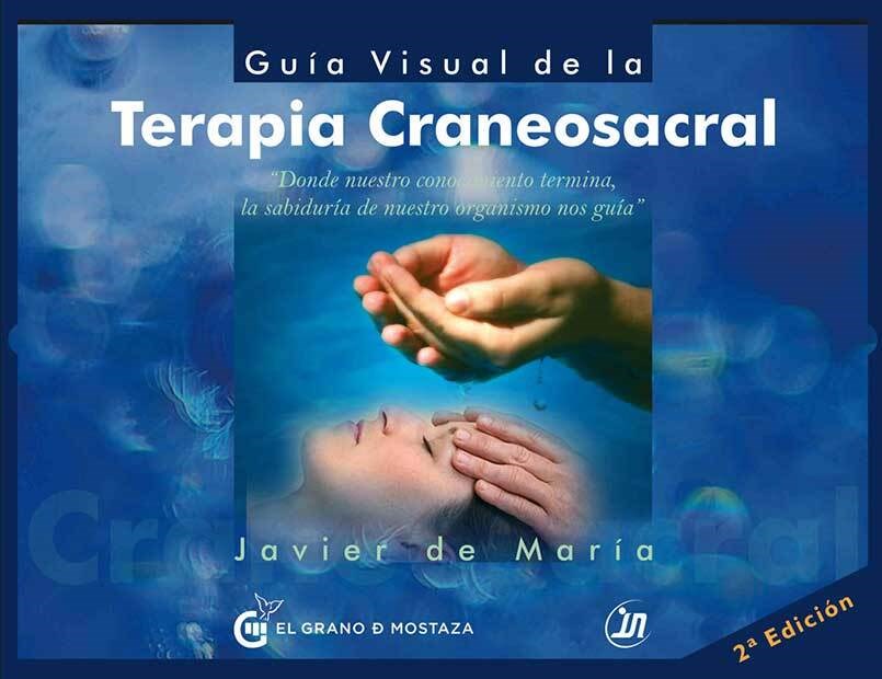 Papel Guia Visual De La Terapia Craneosacral
