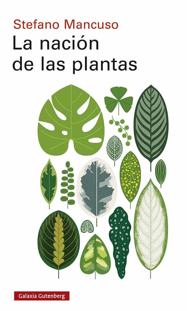 Papel La Nación De Las Plantas