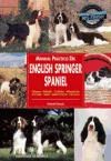 Papel Manual Practico Del English Springer Spaniel