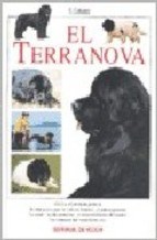 Papel El Terranova - Perros De Raza