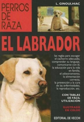 Papel El Labrador - Perros De Raza