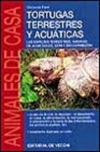 Papel Tortugas Terrestres Y Acuaticas . Animales De Casa