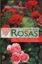Papel Rosas El Gran Libro De Las