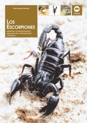 Papel Los Escorpiones . Especies, Comportamiento, Reproduccion, Alimentacion