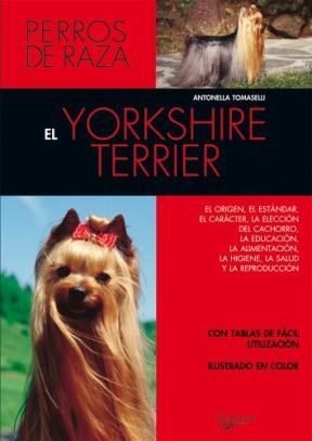 Papel El Yorkshire Terrier . Perros De Raza