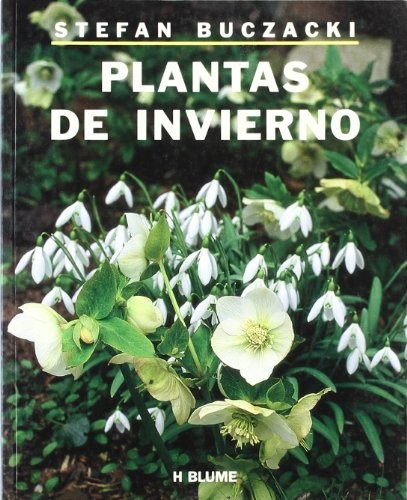 Papel Plantas De Invierno