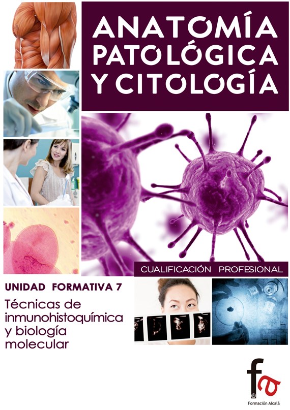 Papel Anatomia Patologica Y Citologia 7