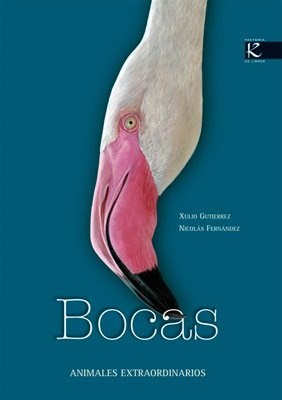 Papel Bocas. Animales Extraordinarios