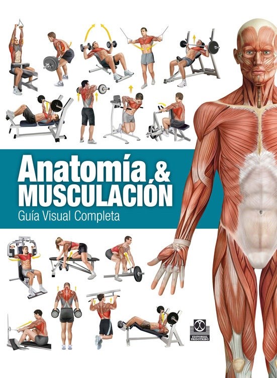 Papel Anatomia Y Musculacion. Guia Visual Completa Color