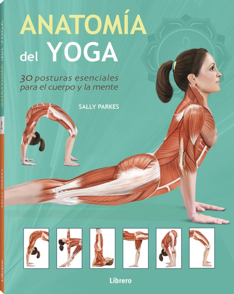 Papel Anatomía Del Yoga