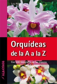 Papel Orquideas De La A A La Z