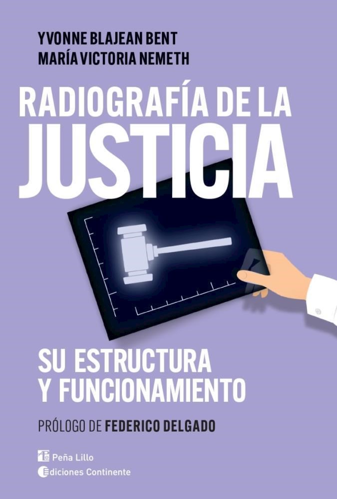 Papel Radiografía De La Justicia. Su Estructura Y Funcionamiento