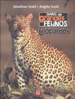 Papel Diario De Grandes Felinos: Leopardos
