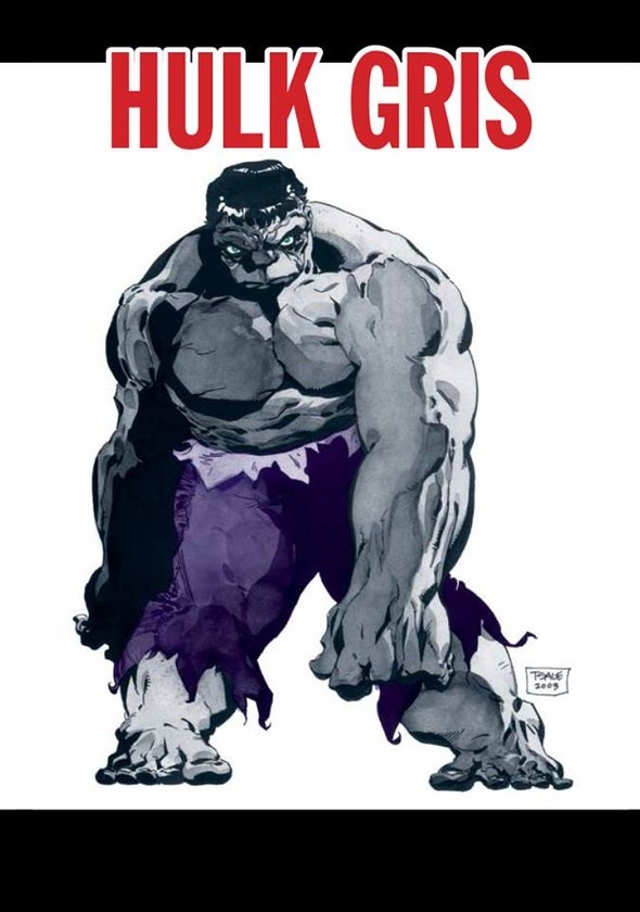 Papel Marvel - Impresindibles # 5 - Hulk Gris