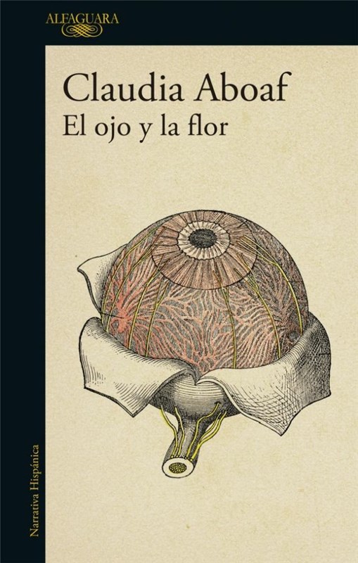 Papel El Ojo Y La Flor