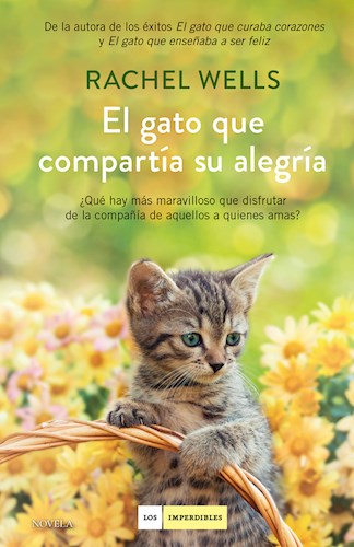  Gato Que Compartia Su Alegria  El