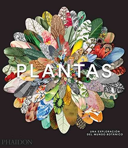 Papel PLANTAS