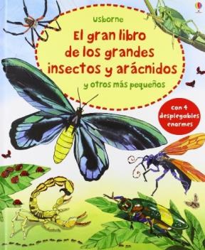  Gran Libro De Los Grandes Insectos Y Aracnidos  El