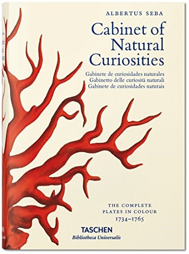 Papel CABINET OF NATURAL CURIOSITIES
