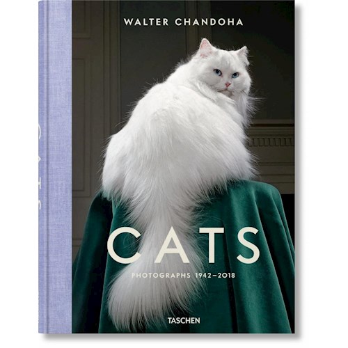 Papel CATS