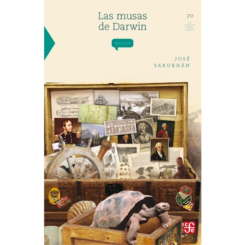 Papel LAS MUSAS DE DARWIN